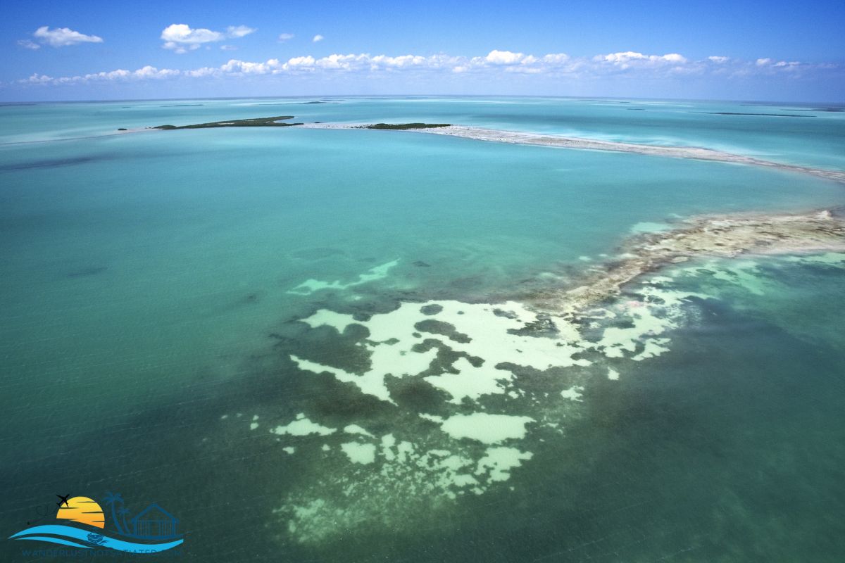 Everglades Florida